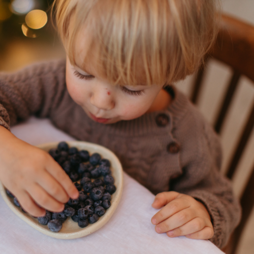 Boy looking down at a bowl of blueberries while sitting at the table